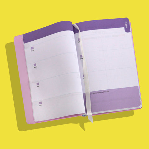 Agenda 2023 con Diseño, 320 páginas