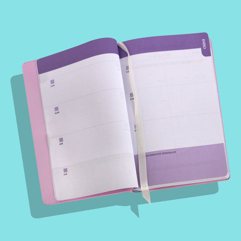 Agenda Organizador 2023 con Diseño, 320 páginas